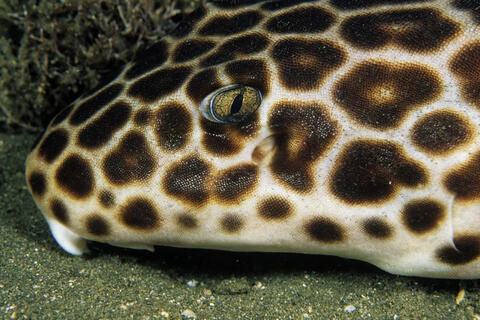 <a href="/kham-pha" title="Khám phá" rel="dofollow">Khám phá</a>