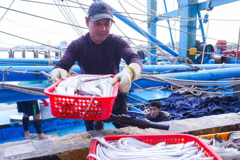 Quảng Trị: Ngư dân ra khơi đón 'lộc' biển