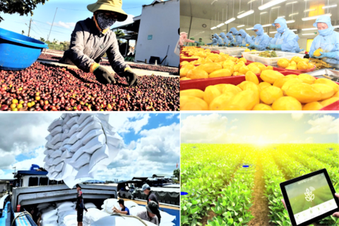 Xuất khẩu nông lâm thủy sản phục hồi mạnh mẽ, hướng tới mục tiêu 74 tỷ USD năm 2026