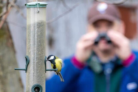Lợi ích bất ngờ của việc ngắm chim