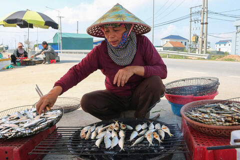 Thích thú trải nghiệm mùa cá trích ở Nghệ An