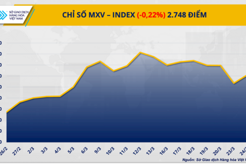 Thị trường đảo chiều, giá dầu giảm mạnh