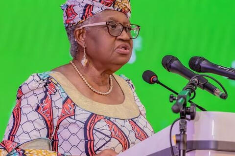 WTO đề xuất cải tổ thương mại trước cục diện thế giới mới