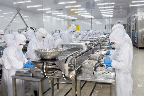 Cà Mau tăng tốc trở thành trung tâm chế biến nông - thủy sản quy mô lớn