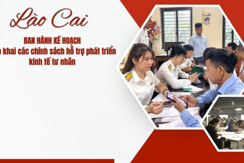 Lào Cai triển khai nhiều chính sách hỗ trợ phát triển kinh tế tư nhân