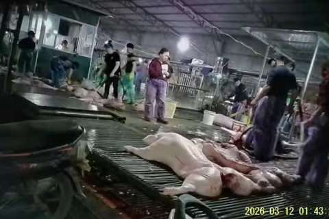 <a href="/thoi-su" title="Thời sự" rel="dofollow">Thời sự</a>