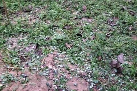 <a href="/thoi-su" title="Thời sự" rel="dofollow">Thời sự</a>