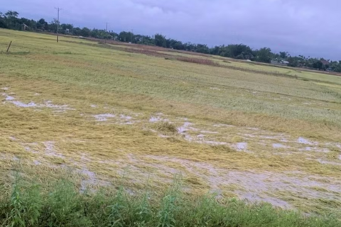 Mưa dông, lốc sét khiến 12 người bị thương