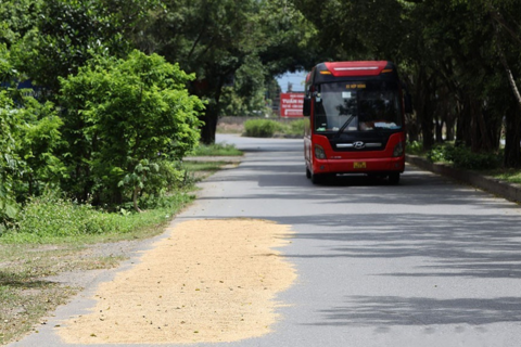 Ninh Bình: Chấn chỉnh tình trạng đốt rơm rạ, phơi nông sản chiếm lòng đường
