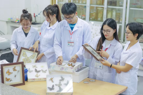 <a href="/giao-duc" title="Giáo dục" rel="dofollow">Giáo dục</a>