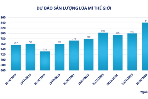 Giá ca cao tăng vọt hơn 9%, MXV-Index tiếp tục suy yếu