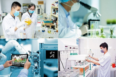 Ngân sách nhà nước chi cho 22 dịch vụ khoa học công nghệ theo 6 nhóm lĩnh vực