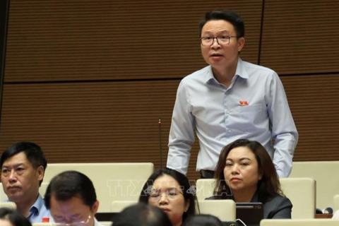 Đại biểu Quốc hội đề xuất cấm sử dụng hòa giải đối với các vụ việc bạo lực gia đình, xâm hại trẻ em