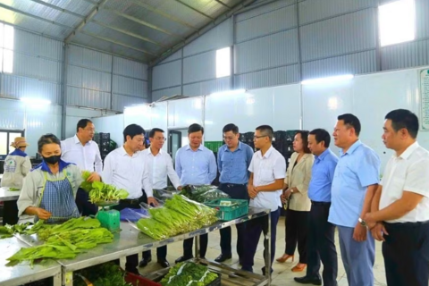 Đào tạo, chuyển giao kỹ thuật nâng sinh kế nông dân Phú Thọ