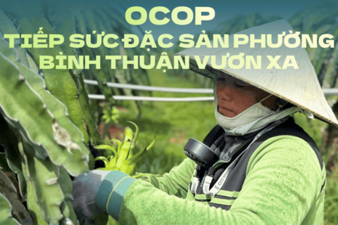 OCOP tiếp sức đặc sản phường Bình Thuận vươn xa