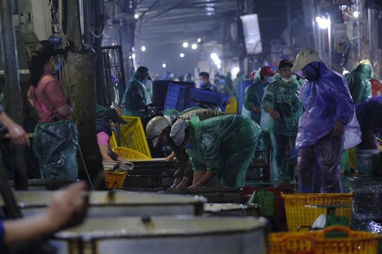 Hà Nội: Chợ Yên Sở đỏ rực cá chép trước ngày tiễn ông Công ông Táo về trời Ha Noi: Cho Yen So do ruc ca chep truoc ngay tien ong Cong ong Tao ve troi