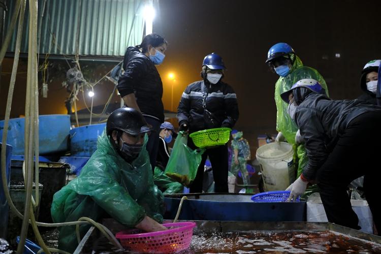 Hà Nội: Chợ Yên Sở đỏ rực cá chép trước ngày tiễn ông Công ông Táo về trời - Hình 3 Ha Noi: Cho Yen So do ruc ca chep truoc ngay tien ong Cong ong Tao ve troi-Hinh-3