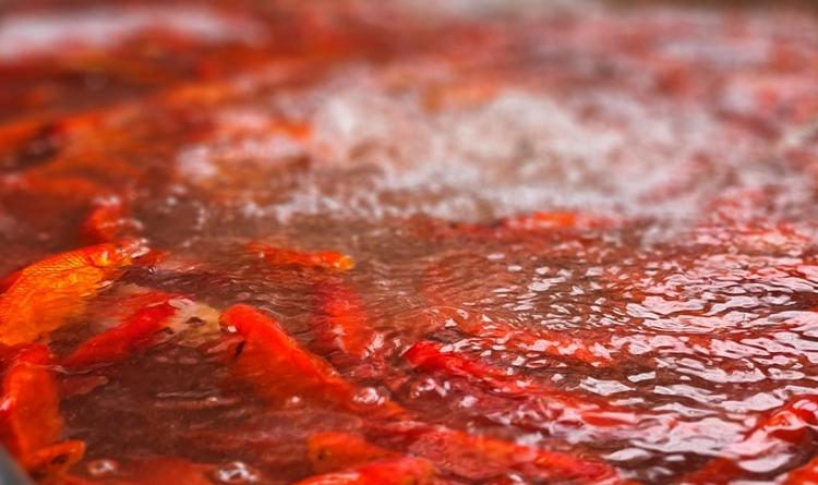 Hà Nội: Chợ Yên Sở đỏ rực cá chép trước ngày tiễn ông Công ông Táo về trời - Hình 10 Ha Noi: Cho Yen So do ruc ca chep truoc ngay tien ong Cong ong Tao ve troi-Hinh-10