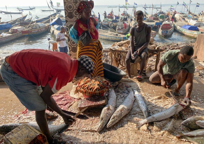 Những người bán cá tại chợ Tombo, Sierra Leone. Ảnh: Peter Yeung.