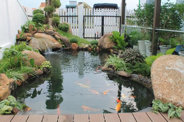 Trồng cây ngay gần cửa và đại kỵ phong thuỷ trước cửa nhà - Ảnh 3. Trồng cây ngay gần cửa và đại kỵ phong thuỷ trước cửa nhà - Ảnh 3.