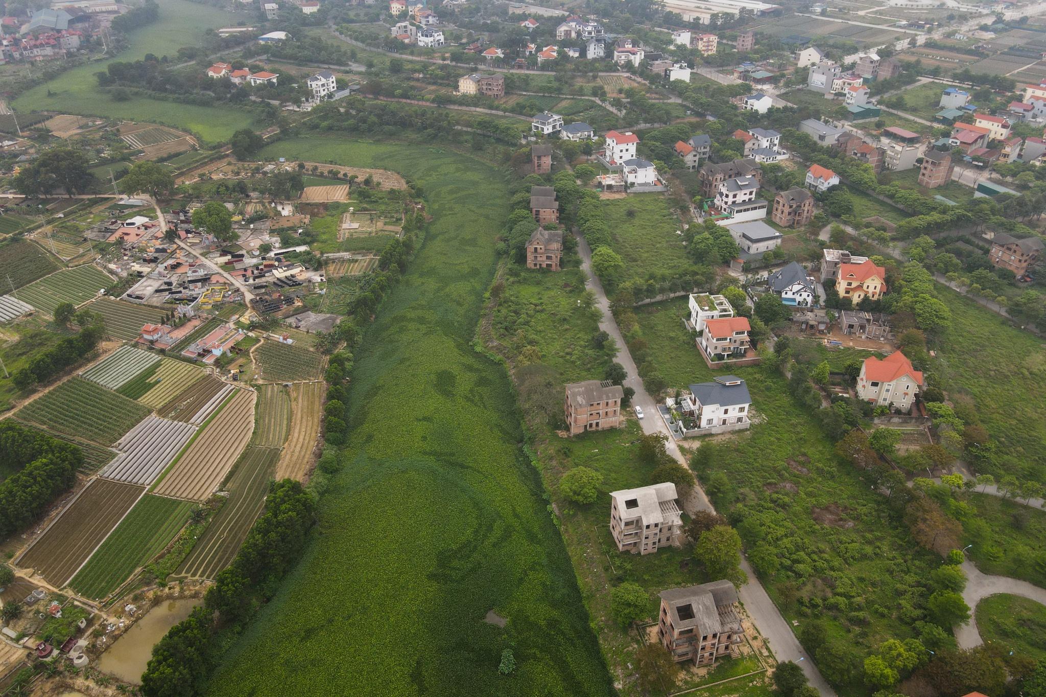 bat dong san Ha Noi,  khu biet thu hoa hong bo hoang anh 4