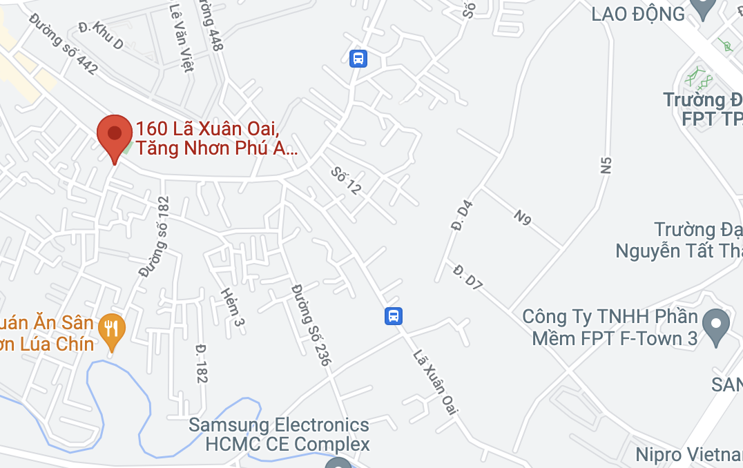 Vụ việc xảy ra tại giao lộ Lã Xuân Oai - đường số 160, TP Thủ Đức. Ảnh: Google Maps.