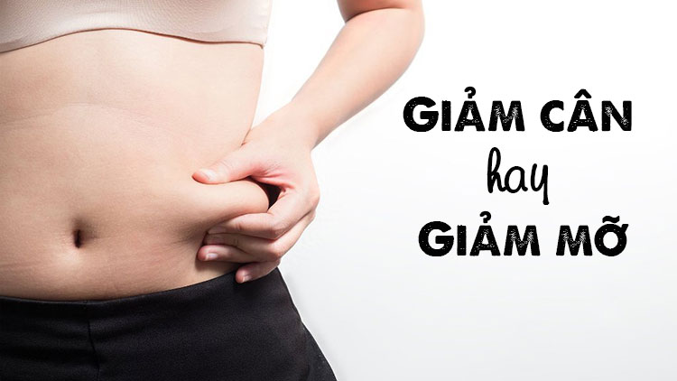 Làm thế nào để giảm béo bền vững, lâu dài? - Ảnh 2. Làm thế nào để giảm béo bền vững, lâu dài? - Ảnh 2.