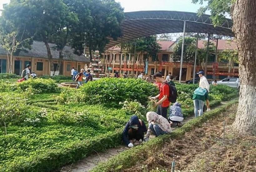 Tuyên Quang: Khẩn trương chỉnh trang trường lớp đón năm học mới ảnh 2