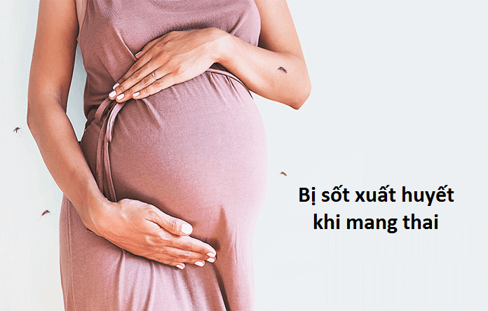 Sốt xuất huyết nguy hiểm với phụ nữ mang thai, cần xử trí thế nào? - Ảnh 2.