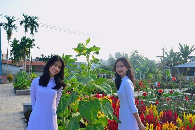 Hướng nghiệp thông qua dạy – học theo dự án ảnh 2