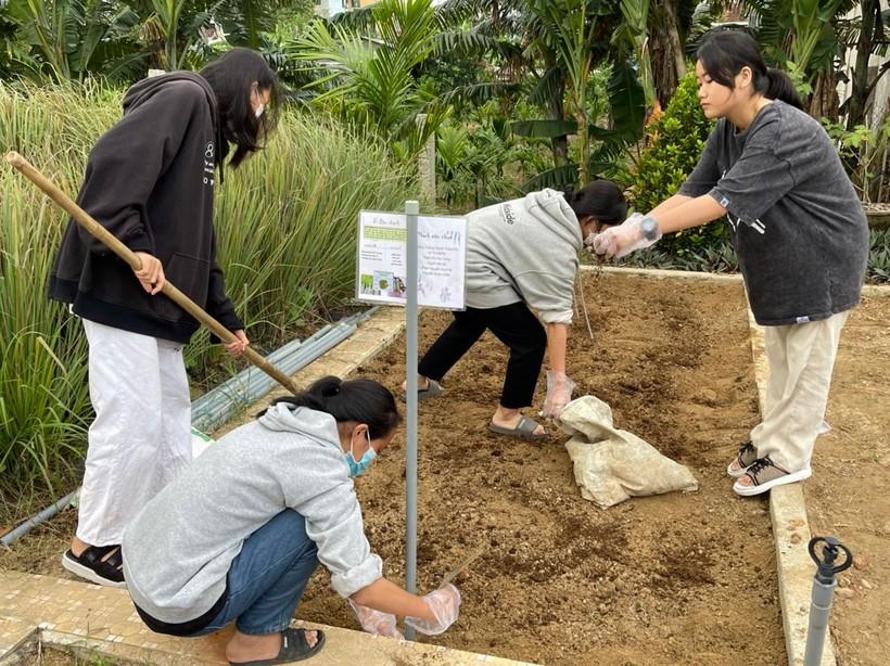 Hướng nghiệp thông qua dạy – học theo dự án ảnh 1
