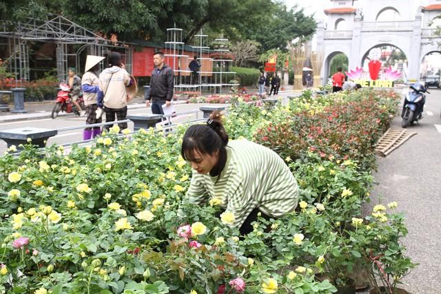 Người dân Mê Linh tất bật chuẩn bị cho lễ hội hoa đầu tiên - Ảnh 3.