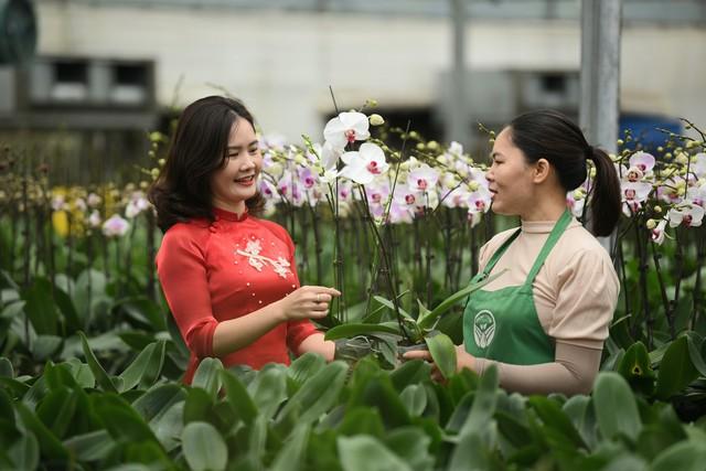 Người dân Mê Linh tất bật chuẩn bị cho lễ hội hoa đầu tiên - Ảnh 18.