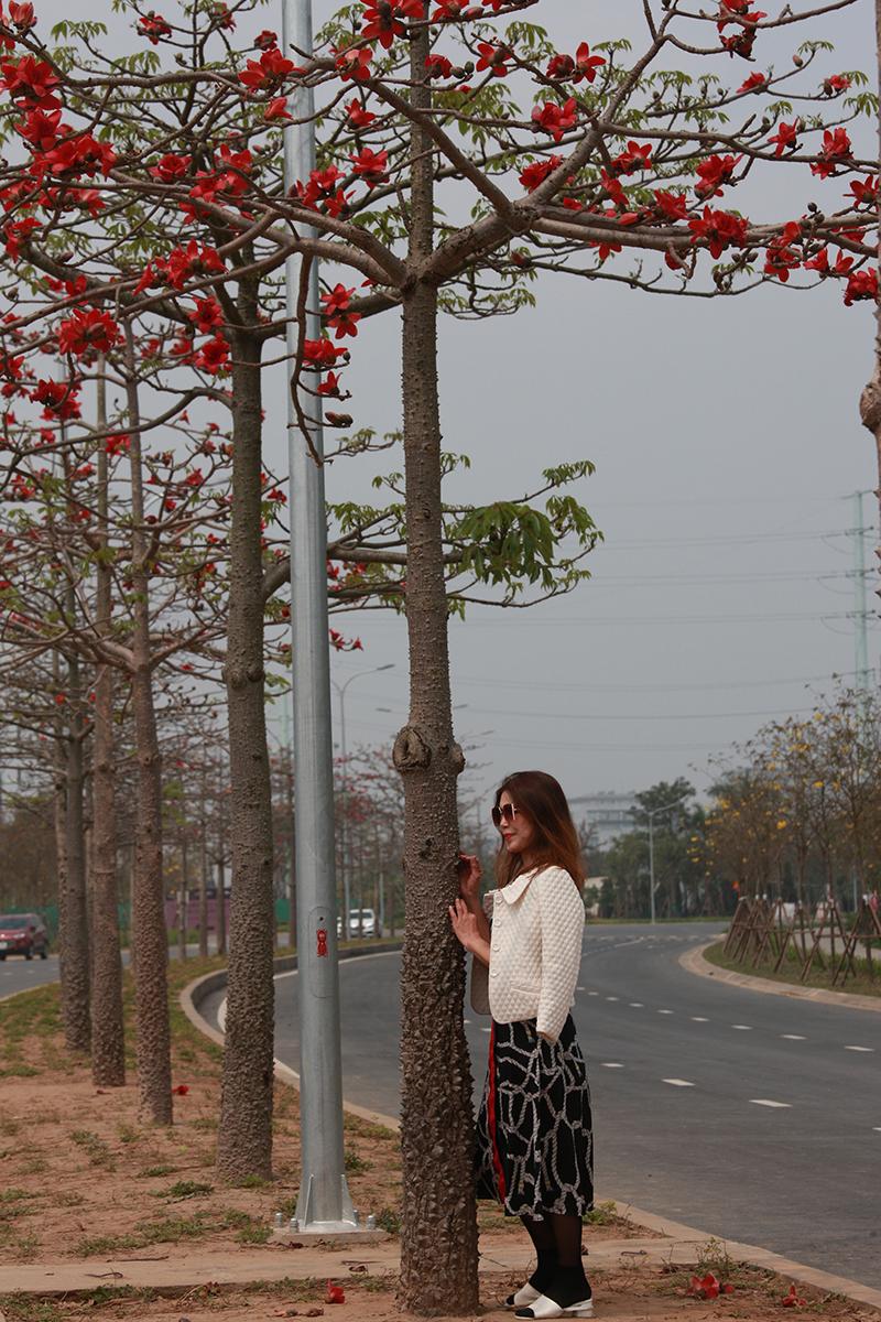 Ngắm hàng cây hoa gạo đỏ rực trời ngay trong lòng Hà Nội - Ảnh 9.