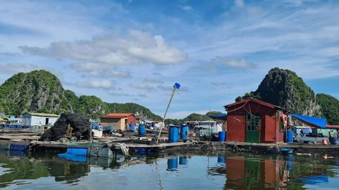 Chủ tịch huyện Cát Hải liên tiếp bị phê bình vì chậm triển khai công việc, báo cáo sai thực tế - Ảnh 1.