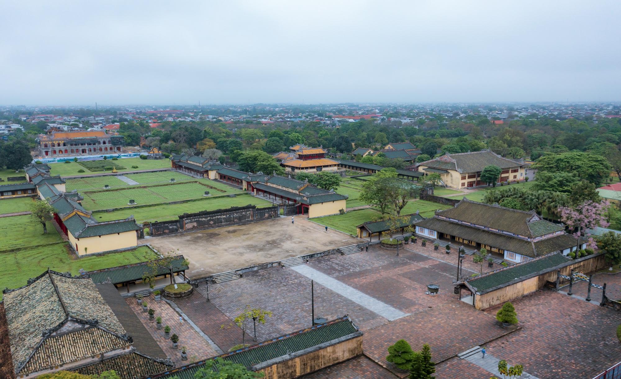 Mê mẩn sắc hoa ngô đồng khoe sắc trong Hoàng cung Huế - Ảnh 2.