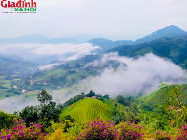 Những điểm check in Quản Bạ Hà Giang vô cùng chất lượng có thể bạn chưa biết - Ảnh 2.