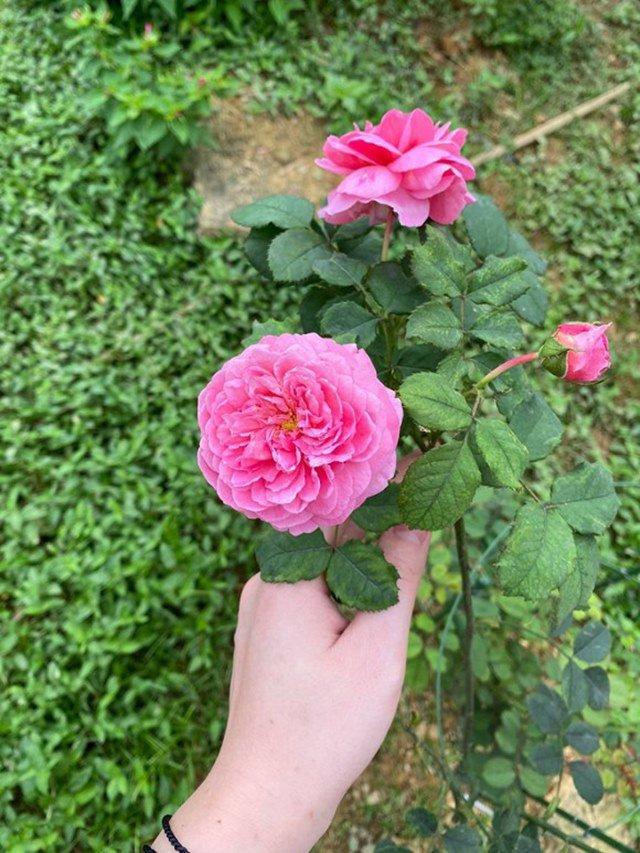 Đại gia Việt 2 đời vợ, 46 tuổi cưới nàng Á hậu kém 16 tuổi: Từng nhiều lần trắng tay, nổi tiếng chiều vợ cực khéoCận cảnh tổ ấm 5 sao của Shark Hưng và vợ Á hậu kém 16 tuổi - Ảnh 10. Đại gia Việt 2 đời vợ, 46 tuổi cưới nàng Á hậu kém 16 tuổi: Từng nhiều lần trắng tay, nổi tiếng chiều vợ cực khéoCận cảnh tổ ấm 5 sao của Shark Hưng và vợ Á hậu kém 16 tuổi - Ảnh 10.