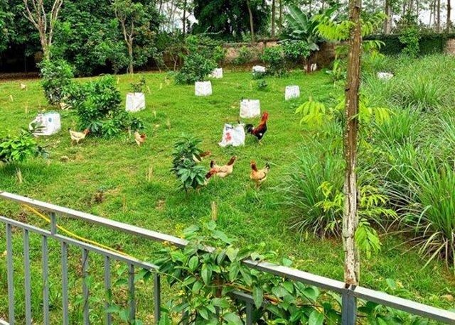 Đại gia Việt 2 đời vợ, 46 tuổi cưới nàng Á hậu kém 16 tuổi: Từng nhiều lần trắng tay, nổi tiếng chiều vợ cực khéoCận cảnh tổ ấm 5 sao của Shark Hưng và vợ Á hậu kém 16 tuổi - Ảnh 8. Đại gia Việt 2 đời vợ, 46 tuổi cưới nàng Á hậu kém 16 tuổi: Từng nhiều lần trắng tay, nổi tiếng chiều vợ cực khéoCận cảnh tổ ấm 5 sao của Shark Hưng và vợ Á hậu kém 16 tuổi - Ảnh 8.