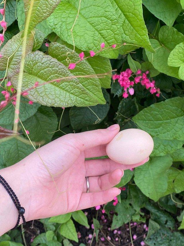 Đại gia Việt 2 đời vợ, 46 tuổi cưới nàng Á hậu kém 16 tuổi: Từng nhiều lần trắng tay, nổi tiếng chiều vợ cực khéoCận cảnh tổ ấm 5 sao của Shark Hưng và vợ Á hậu kém 16 tuổi - Ảnh 9. Đại gia Việt 2 đời vợ, 46 tuổi cưới nàng Á hậu kém 16 tuổi: Từng nhiều lần trắng tay, nổi tiếng chiều vợ cực khéoCận cảnh tổ ấm 5 sao của Shark Hưng và vợ Á hậu kém 16 tuổi - Ảnh 9.