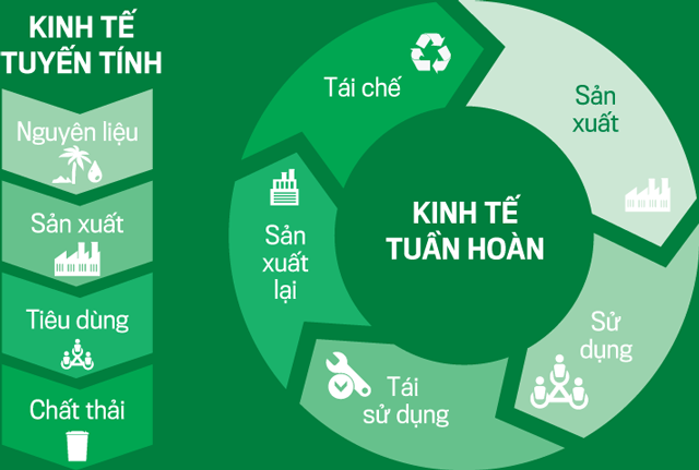 Ảnh minh họa,  nguồn: Internet