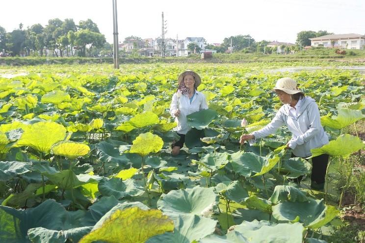 Vĩnh Phúc triển khai hiệu quả Nghị quyết về xây dựng 'Làng văn hóa kiểu mẫu' ảnh 3