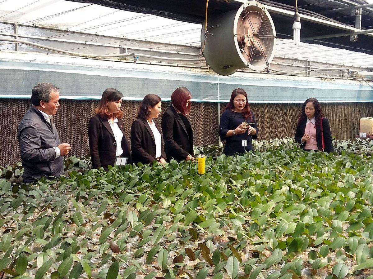 Hợp tác xã Đan Hoài là một trong những đơn vị tiên phong trong lĩnh vực nông nghiệp công nghệ cao tại TP. Hà Nội.