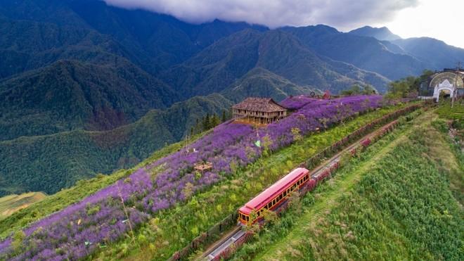 Tàu hỏa leo núi Mường Hoa không chỉ rút ngắn thời gian di chuyển tới nhà ga cáp treo mà còn đưa du khách chiêm ngưỡng khung cảnh hùng vỹ của Tây Bắc. ảnh 2