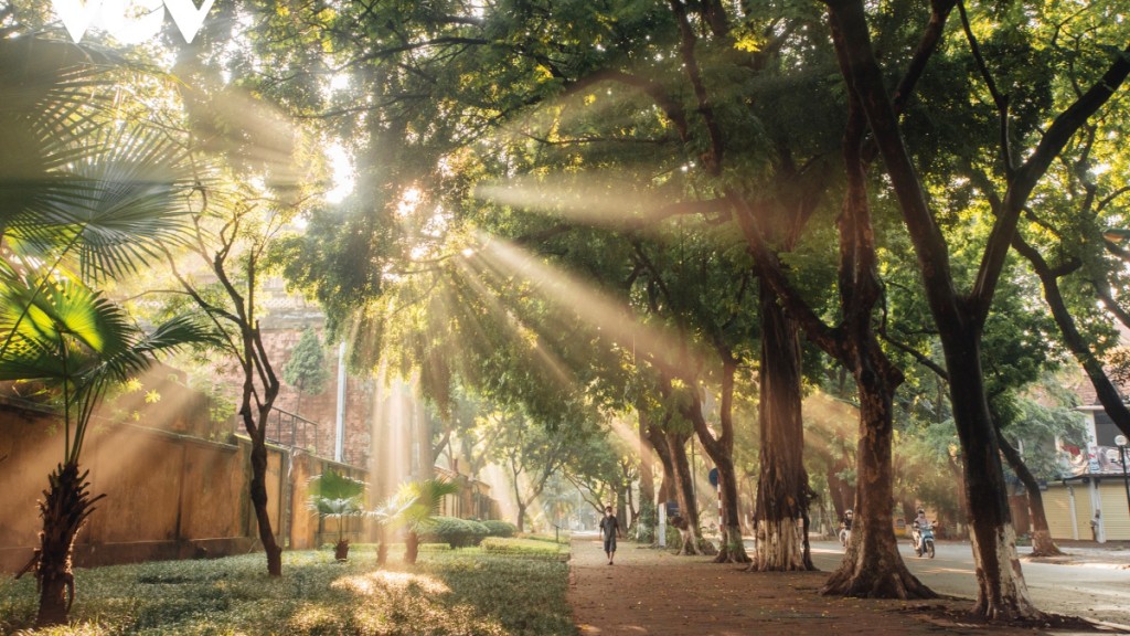 Mùa thu - tình yêu và nỗi nhớ