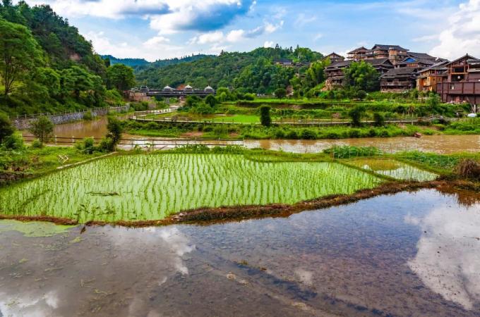 Chuyện "lạ đời" ở Liễu Châu: Đi khắp thành phố chỉ bằng 10 nghìn đồng, khắp nơi đậm mùi đặc trưng của món bún ốc ai ăn cũng "nghiện" - Ảnh 7.