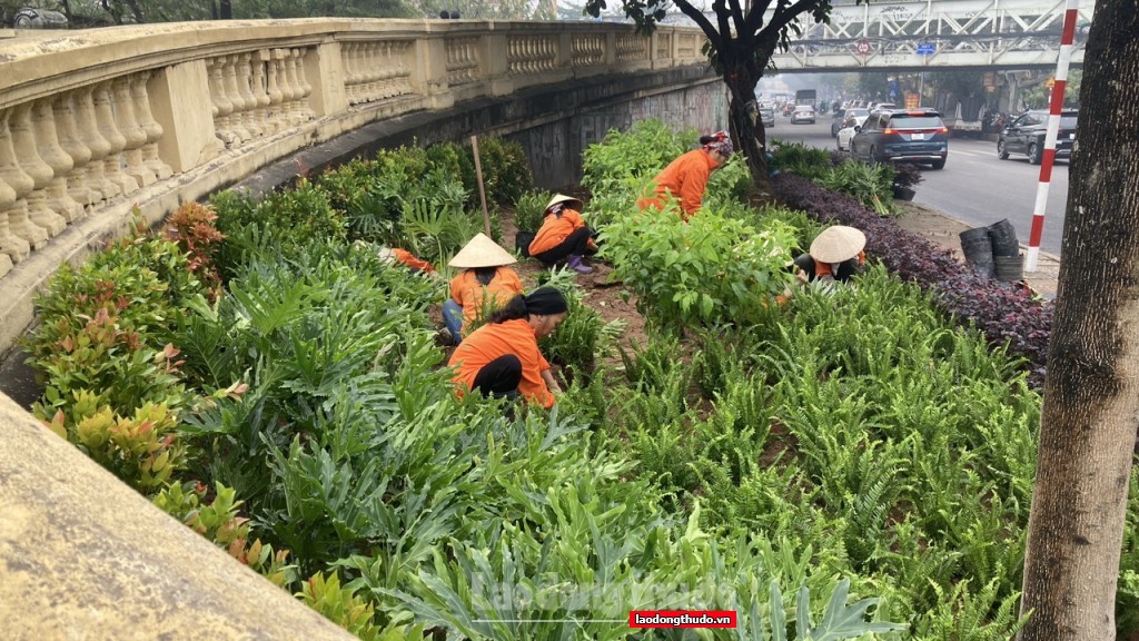 Hà Nội trang hoàng rực rỡ chào đón năm mới 2024