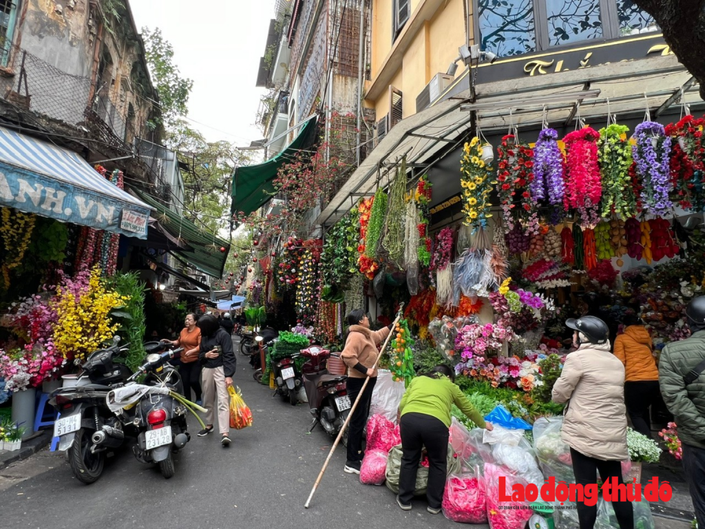 Hà Nội: Phố Hàng Rươi rực rỡ sắc màu hoa giả