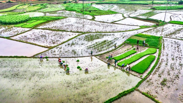 Đến thời điểm này, nhiều địa phương khu vực Trung du và Đồng bằng Bắc Bộ đã đủ nước gieo cấy vụ Đông Xuân - Ảnh:VGP/Toàn Thắng