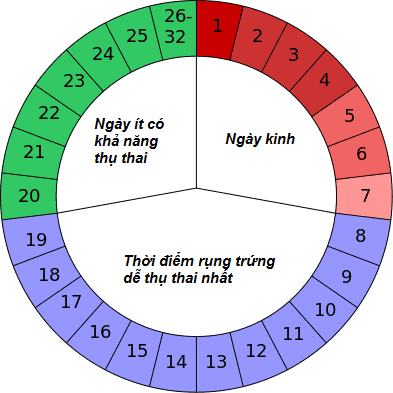 5 điều chị em nên biết về rụng trứng để xác định thời điểm thụ thai tốt nhất- Ảnh 2.